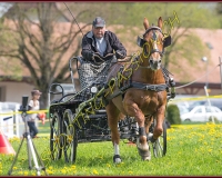 2POSIEUX 0159